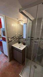 T2 Vieux Mans Face Cathédrale Rue Piétonne