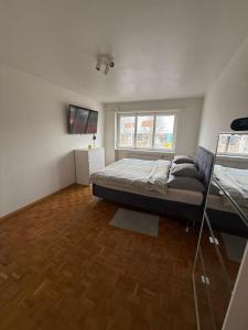 Modern City Apartment Basel