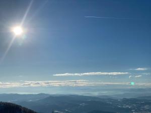 Mountain View President Kop