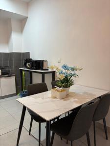 Netizen Soho Studio A10 #Netflix Wifi