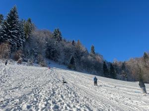 Apartamenty Kadłubek