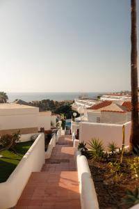 Serenity Ocean View 1BR Apartment with Terrace, Pool & Walk to Beaches