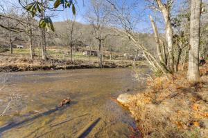 Riverfront Cabin with Mtn Views in Robbinsville