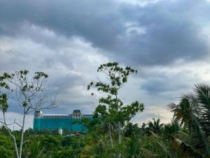 Nature Green Emerald - Mirissa