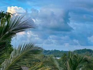 Nature Green Emerald - Mirissa
