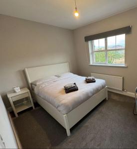 Lighthouseview - Cahersiveen