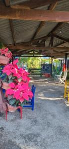 Estacao Paraiso Chalé