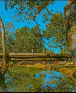 Brisa Mar e Cachoeira