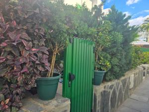 VV Tropical Sun and Palm "by henrypole home"