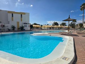 VV Tropical Sun and Palm "by henrypole home"