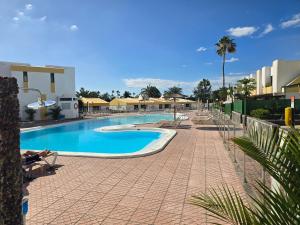 VV Tropical Sun and Palm "by henrypole home"