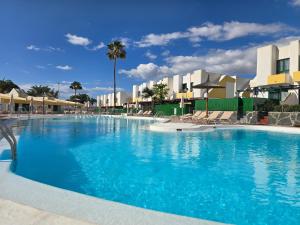 VV Tropical Sun and Palm "by henrypole home"