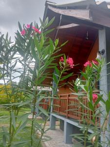 Seeing Green Udawalawa