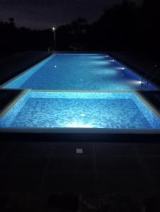 Seeing Green Udawalawa