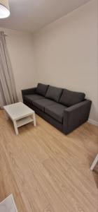 Praga Apartament Near Sante and Kozminsky