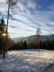 Apartment Panorama Val di Non