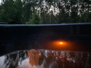 Merineitsi peamaja saunaga kahele