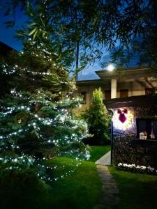 La Casetta dei Fiori sull Etna