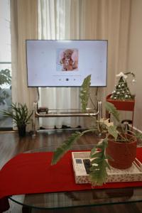 Anmie Home - Hoàng Huy CMC Camelia