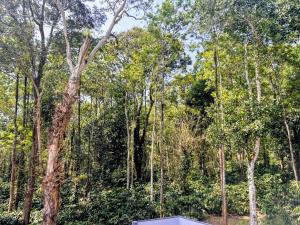 Aarvani Retreat Relax, Explore & Unwind in Coorg