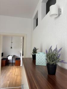 Gemütliche Ferienwohnung auf der Schwäbischen Alb