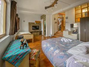 Pumpkin Cozy Charm in the Heart of Bohemian San Blas