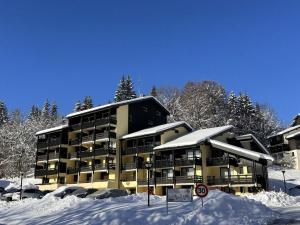 Studio 2 personnes proche centre ville - Les Carroz dArâches - FR-1-572-329