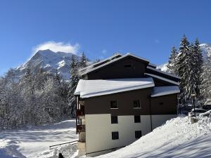 Studio 2 personnes proche centre ville - Les Carroz dArâches - FR-1-572-329