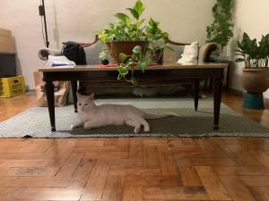 Casa de Vila na Sapucaí