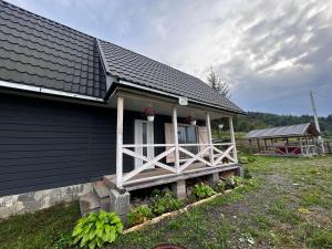 Будинок на горі Борщевиця