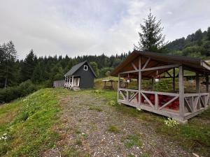 Будинок на горі Борщевиця