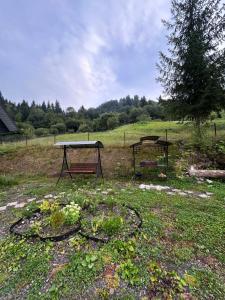 Будинок на горі Борщевиця