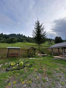 Будинок на горі Борщевиця