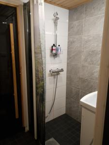 Adeli Holiday Cottage Ellivuori