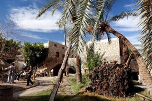 Old Oasis Hotel for Safari Trips