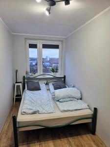 Apartament z widokiem na Gdańsk 10 piętro
