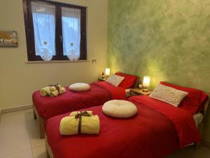 Il Sogno di Olly - Assisi