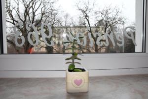 Pension963