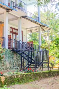 The Birdy Retreat Ella