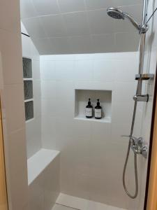 La Maison Verte -Hypercentre-confort