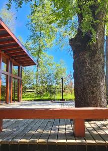 Casa Lodge Río Loncotraro