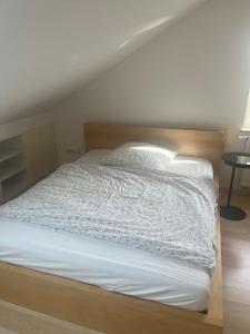 Sonniges und geräumiges Appartment