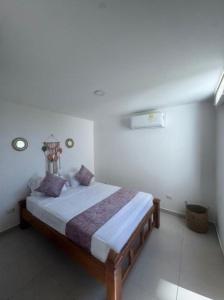 Palo Rosa Caribe 202