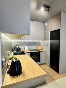 Piast Apartment - free parking