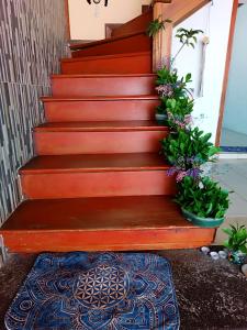 HABITACIÓN AMPLIA cerca de senda del CARNAVAL