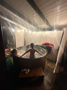 Чотири стихії