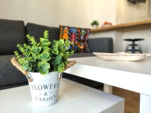 Alisios Encanto by Sea You There Fuerteventura