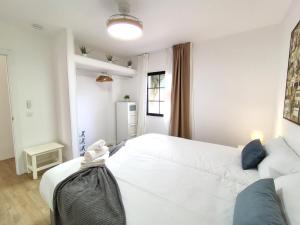 Alisios Encanto by Sea You There Fuerteventura