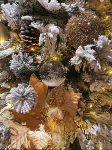 NEW!!! 2024 MAREA apartments with XXL Sunny Terrace