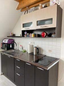 Apartmán Doubravice